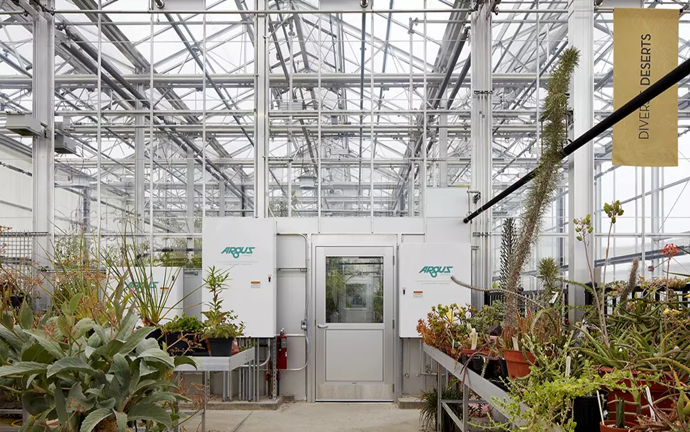 Greenhouses with plants