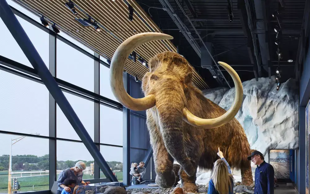 University of Minnesota mammoth