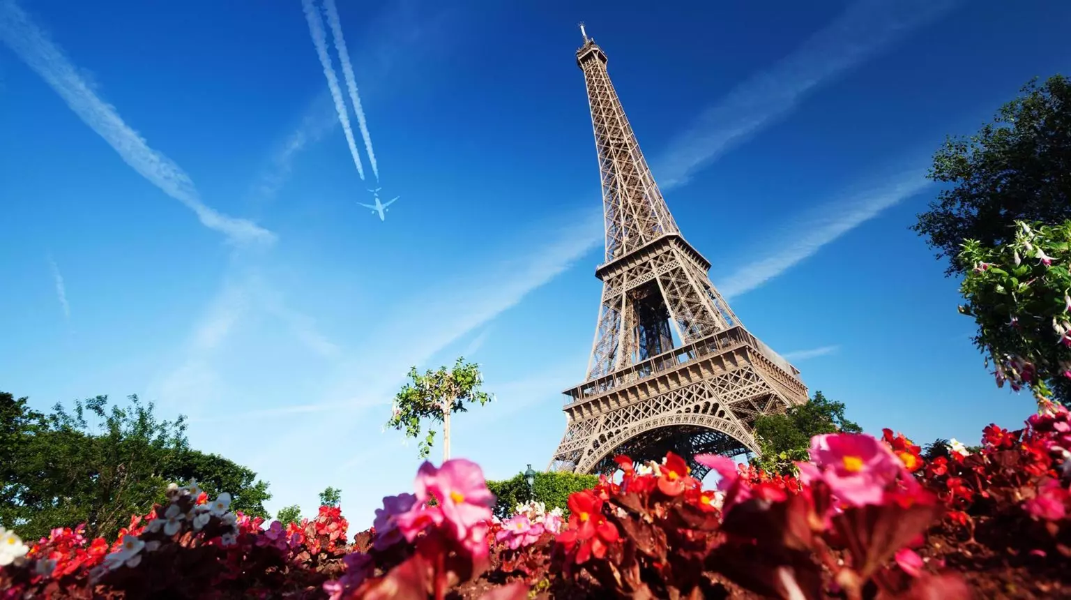 View from behind the flowers to the Eiffel Towers